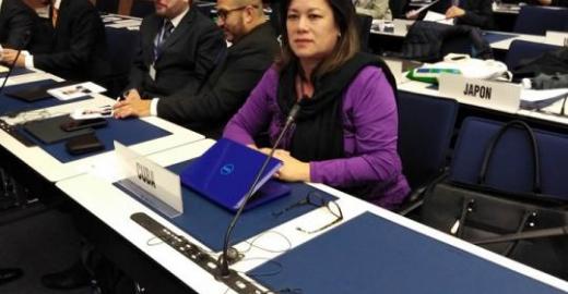 Cuba participa en el Consejo de Administración de la Unión Postal Universal (UPU)