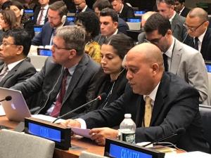 Cuba interviene en el Grupo de trabajo de la ONU